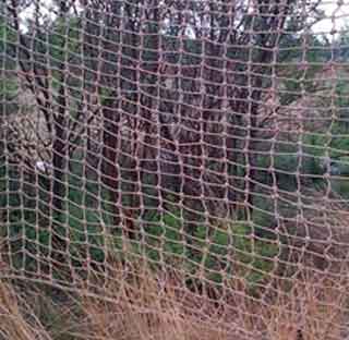 Game capture nets and sails