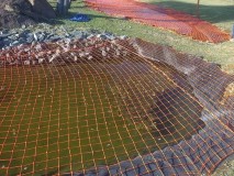 South Safety Net
